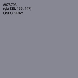 #878793 - Oslo Gray Color Image